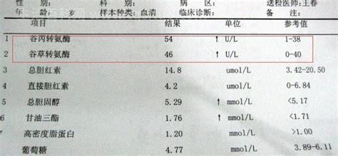 转氨酶正常范围